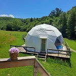 Forest Glamping *