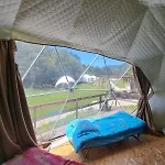Forest Glamping *