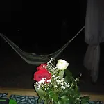 Campo de lujo Forest Glamping *