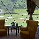 Forest Glamping *