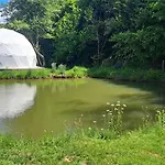 Campo de lujo Forest Glamping