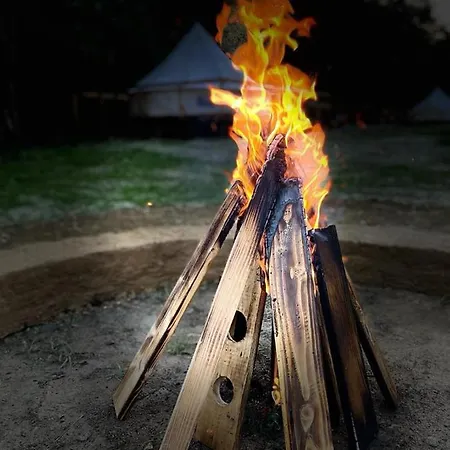Forest Glamping 布拉索夫