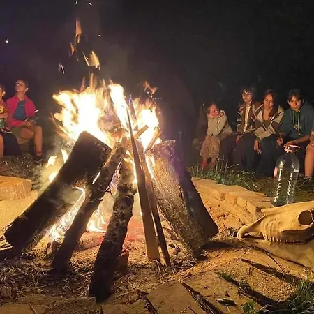 Forest Glamping ブラショフ