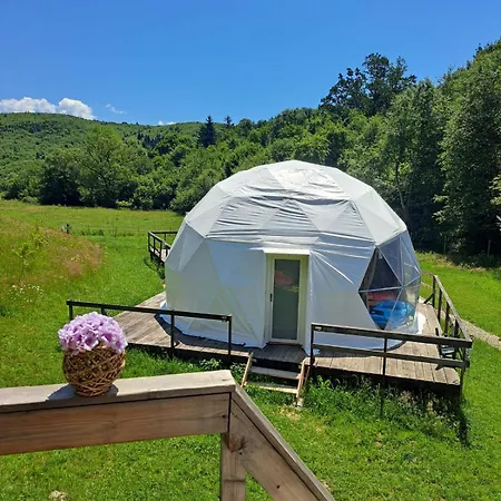 Forest Glamping *
