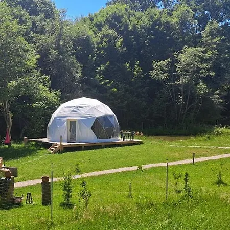 Forest Glamping * ブラショフ