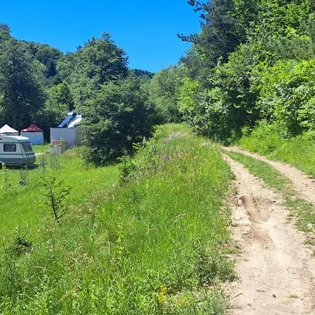 ラグジュアリーテント Forest Glamping *