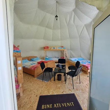 Forest Glamping 布拉索夫