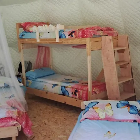 Forest Glamping בראשוב