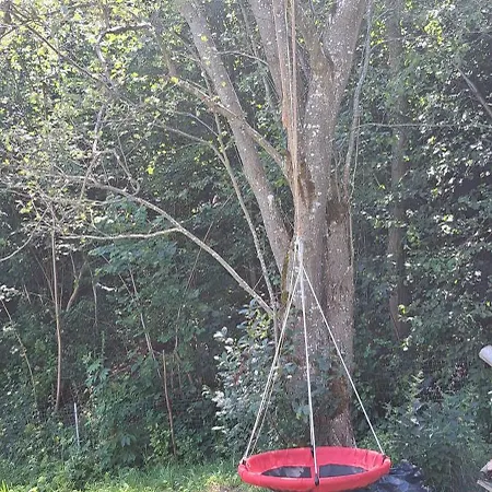 Forest Glamping * ブラショフ