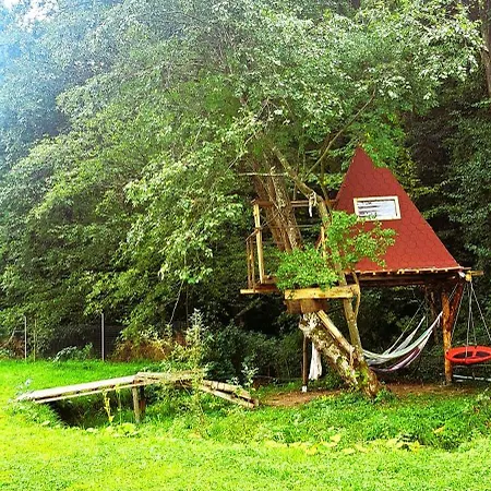 Forest Glamping *