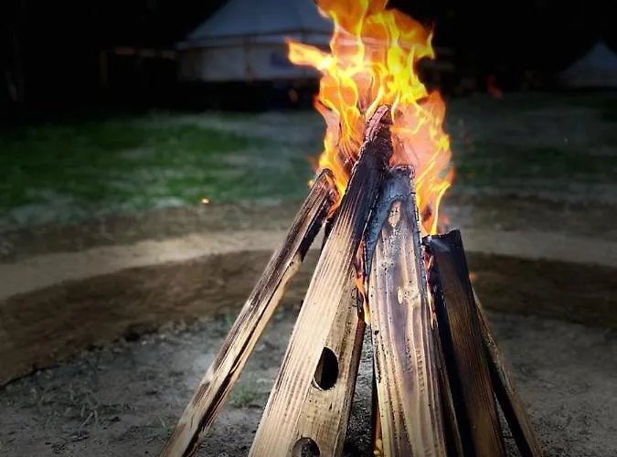 Forest Glamping 布拉索夫