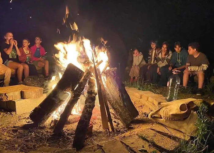 Forest Glamping Braşov