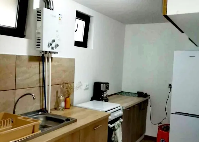 Forest Glamping Luxury tent Brasov