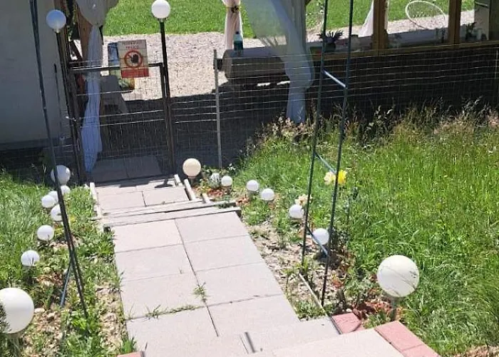 Forest Glamping 豪华帐篷 布拉索夫