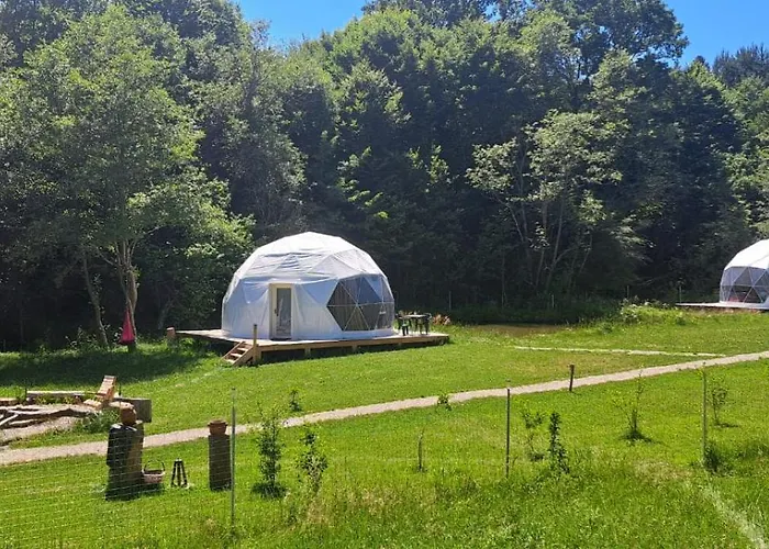 Forest Glamping * 布拉索夫