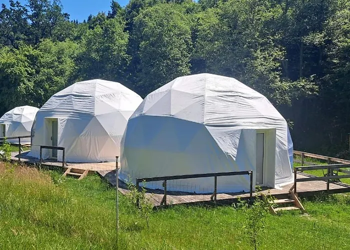 Forest Glamping 布拉索夫