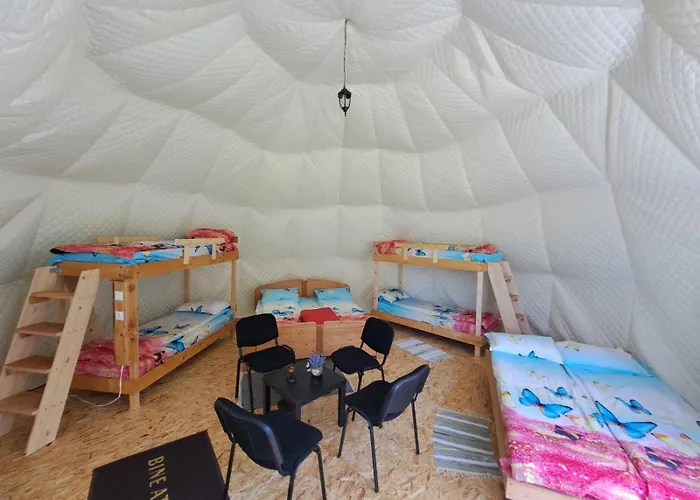 Forest Glamping * 布拉索夫