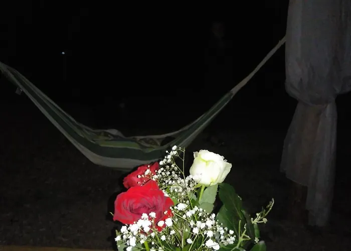 豪华帐篷 Forest Glamping *