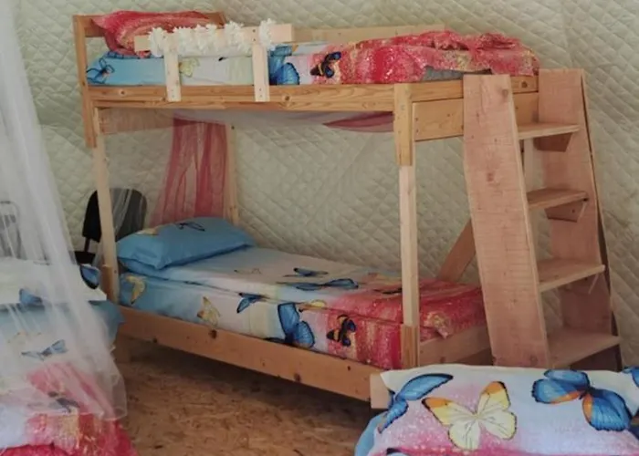 Forest Glamping Brasov