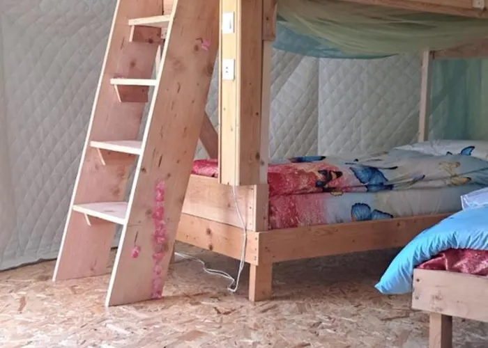 Forest Glamping 豪华帐篷 *