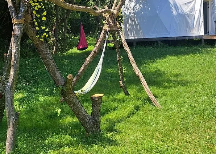 Forest Glamping 豪华帐篷 布拉索夫