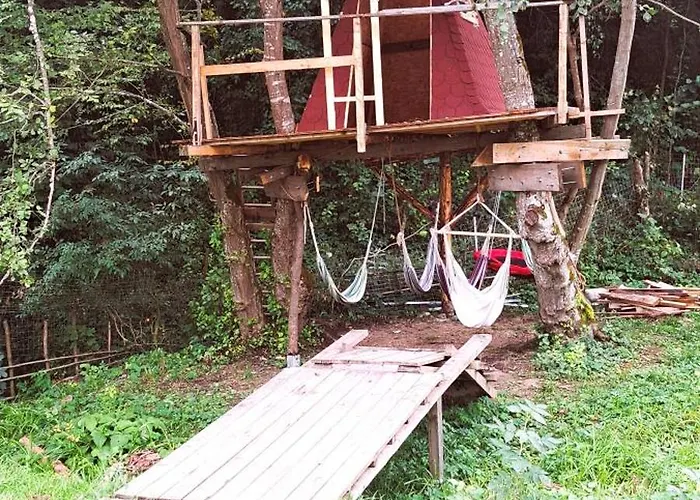Forest Glamping Brasov